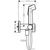 Гигиенический душ Hansgrohe Bidette 1jet S 29232700