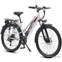 Электровелосипед White Siberia Camry Light (матовый серый)