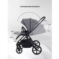 Универсальная коляска Rant Teo 2в1 RA120 (серый)