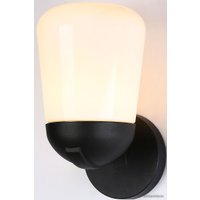 Уличный настенный светильник Ambrella light Garden ST2083