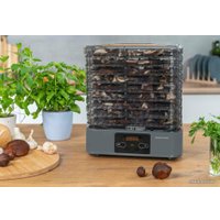 Сушилка для овощей и фруктов Goetze & Jensen FD800