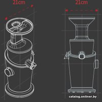 Соковыжималка Hurom H100S (бежевый)