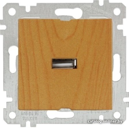 Розетка USB Mutlusan 2200 448 0158