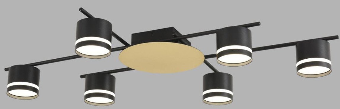 

Припотолочная люстра Lumion Benua 8304/6C