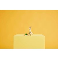 Конструктор LEGO Creator 3 в 1 31162 Милый кролик