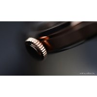 Наручные часы Orient FER24008B