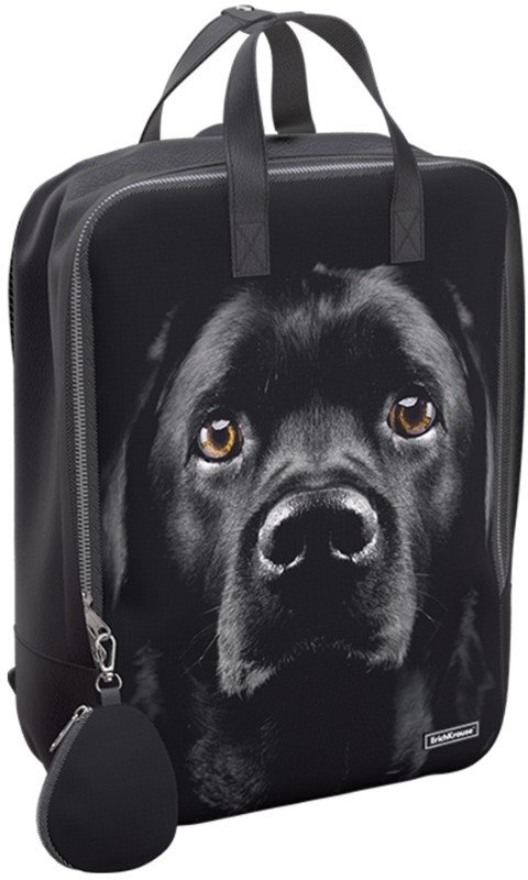 

Городской рюкзак Erich Krause StreetLine 16L Black Dog 60343