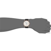 Наручные часы Skagen SKW6390