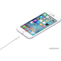 Кабель Apple USB 2.0 Type-A - Lightning (1 м, белый)