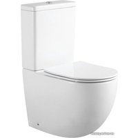 Унитаз напольный Aquanet Rimless Cetus 2.0 C1 LX-2903 00243538 + Cetus 2.0 C2 00243539 (без сиденья)