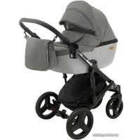 Универсальная коляска Ray Corsa (2 в 1, 08)