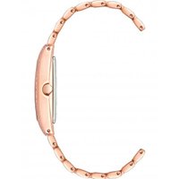 Наручные часы Anne Klein 3990RGST в Мозыре