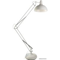 Настольная лампа Arte Lamp Goliath A2487PN-1WH