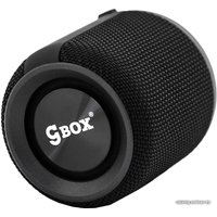 Беспроводная колонка CaseGuru CGBox (черный)