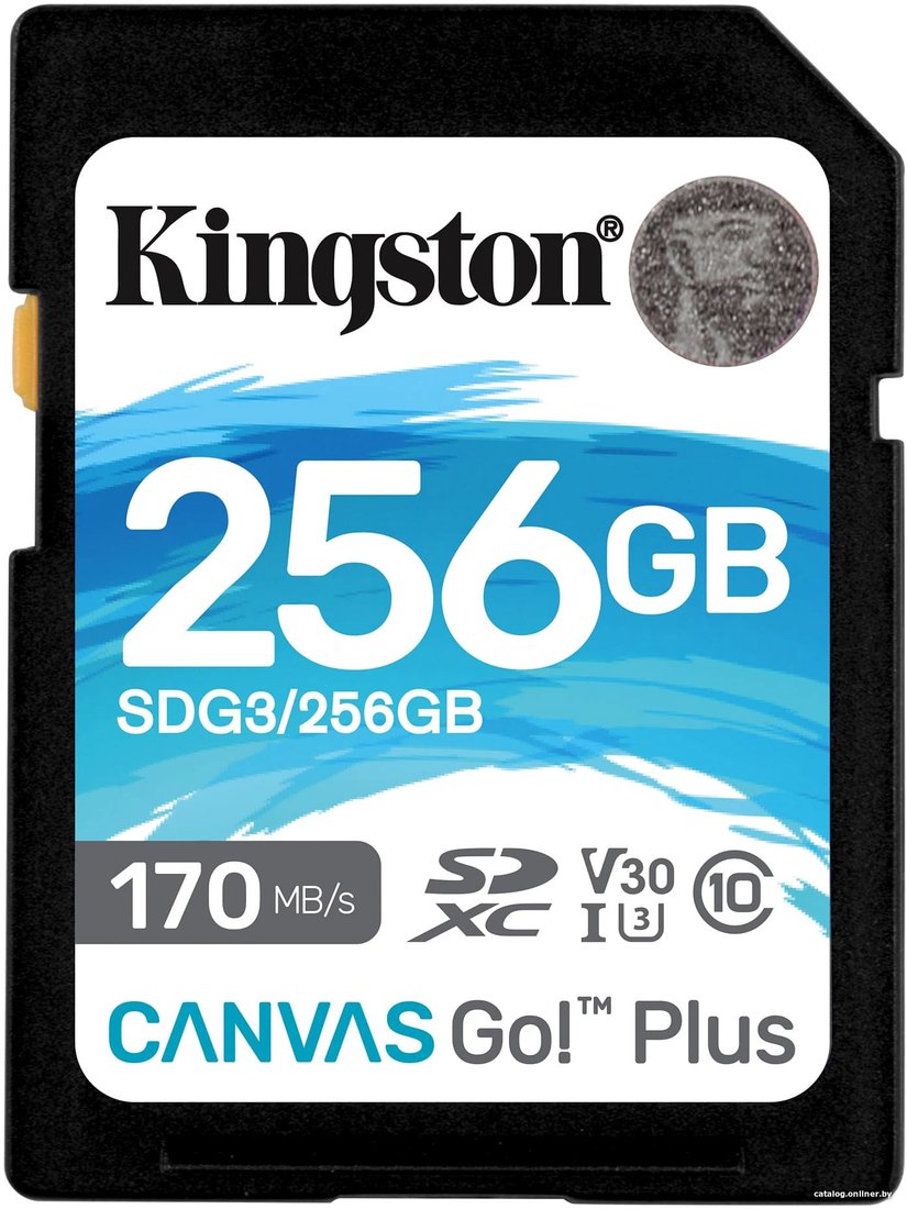 Карта памяти Kingston Canvas Go! Plus SDXC 256GB SDG3/256GB