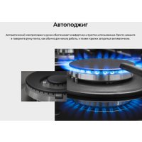 Кухонная плита Hansa FCMX59323