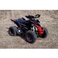 Квадроцикл Motoland Rally 250 (черный/красный)