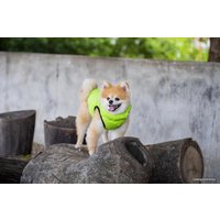 Жилетка для животных Puppia Vest B PAPD-JM1671-GR-XXL (зеленый)