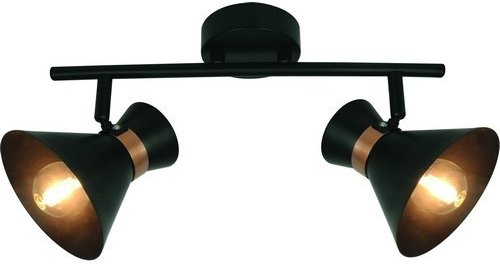 

Точечный светильник Arte Lamp Baltimore A1406AP-2BK