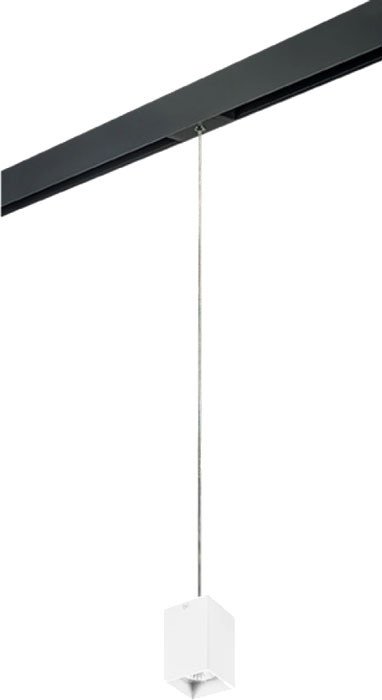 Трековый светильник Lightstar Rullo PRORP336