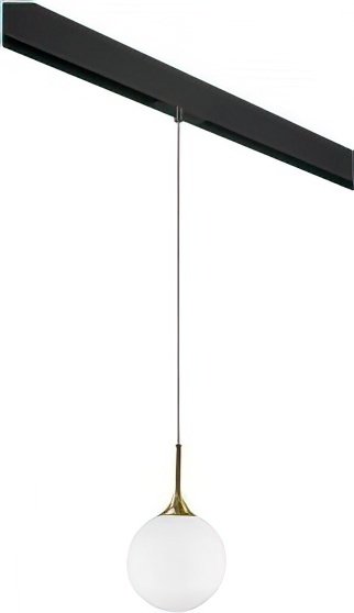 

Подвесная люстра Lightstar Globo PRO813022