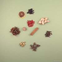 Подарочный набор Padarunki 4 глинтвейна 103 в Пинске