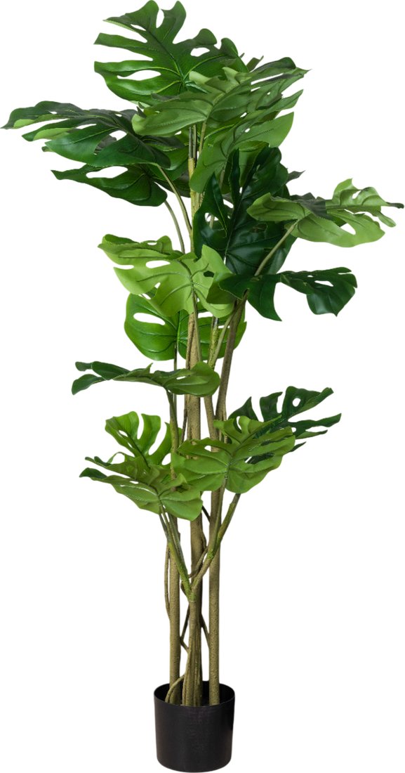 

Искусственное растение Merry Bear Home Decor Монстера AX459150