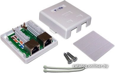 Розетка компьютерная TWT TWT-SM2-4545/S6-WH