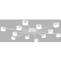 Припотолочная люстра Lumion Torina 8343/12C