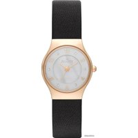 Наручные часы Skagen SKW2209