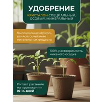 Удобрение Yara Tera Kristalon специальный (500 г)