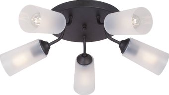 Припотолочная люстра Vitaluce V3762-1/5PL