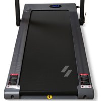 Электрическая беговая дорожка Svensson Body Labs Thrive в Борисове