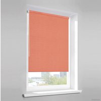 Рулонные шторы Lm Decor Лайт LM 30-12С 72x160