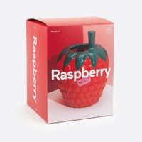 Ваза Doiy Raspberry DYVASFMRA в Гродно