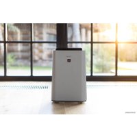 Мойка воздуха Sharp UA-HD60E-L