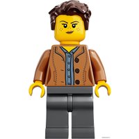 Конструктор LEGO Ideas 21318 Дом на дереве