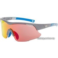 Солнцезащитные очки GOG E670-3 (серый матовый/синий)