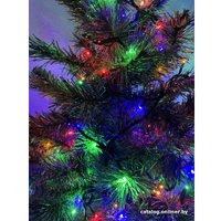 Новогодняя гирлянда ЭРА ERABL-L100/S20