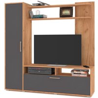 Стенка Modern Рига (золотой дуб/графит) в Бресте