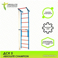 Шведская стенка (лестница) Absolute Champion ДСК-5 (синий/красный)