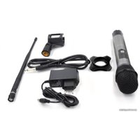 Радиосистема AxelVox DWS7000HT (ST)