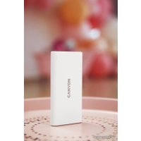 Внешний аккумулятор Canyon PB-106 10000mAh (белый)