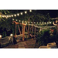 Светодиодная гирлянда Retlux RGL 115