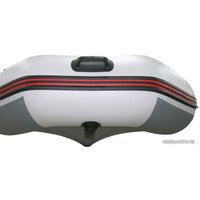 Моторно-гребная лодка Altair SIRIUS-315 STRINGER