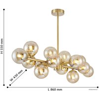 Подвесная люстра Favourite Varietas 2649-14P