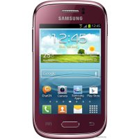 Телефон Samsung Galaxy Young (S6310)