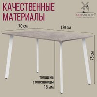 Кухонный стол Millwood Шанхай Л18 120x70х75 (бетон/металл белый)