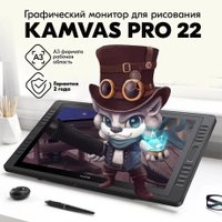 Графический монитор Huion Kamvas Pro 22 (2019)