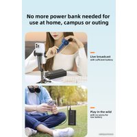 Внешний аккумулятор Romoss PEA40PF (черный)